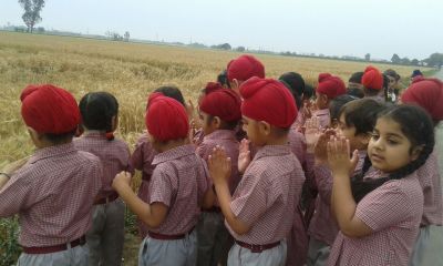 Visit to wheat field