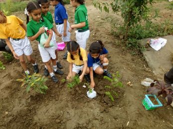 Getting schooled in the Garden