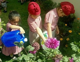 Watering the Plants